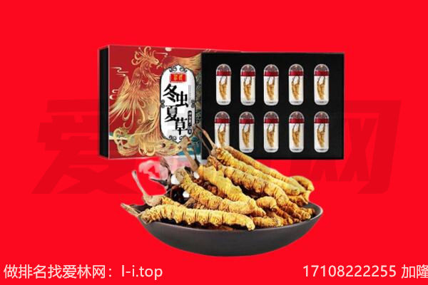 册亨县回收虫草.jpg
